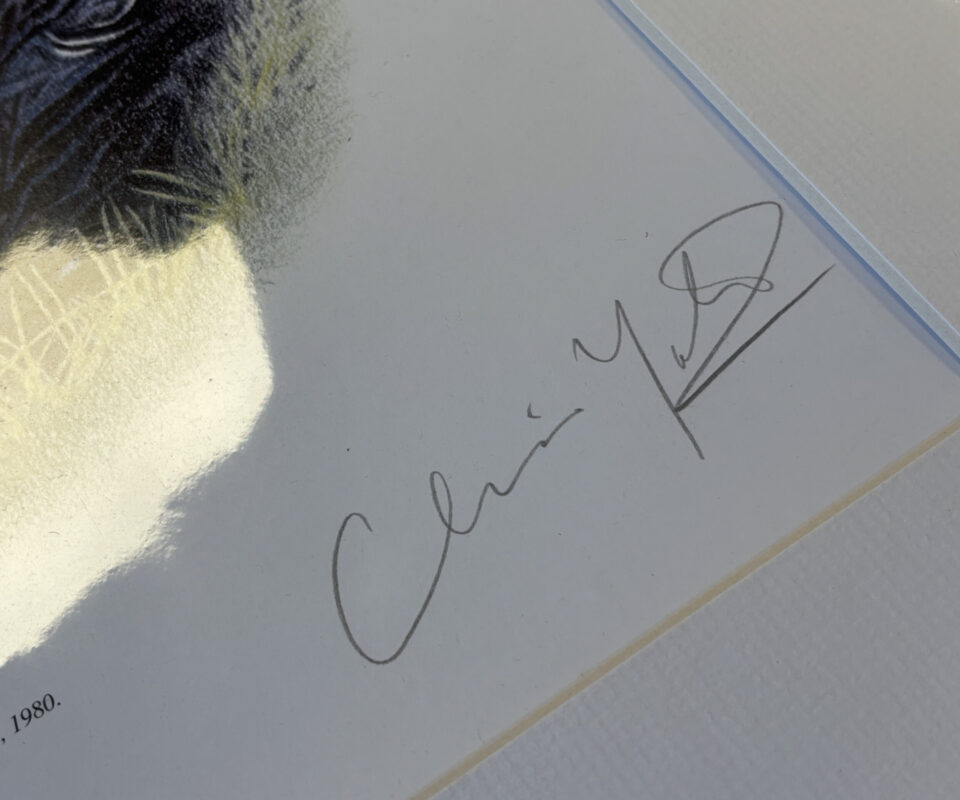 Claire Yates Limited Edition Print 203/250 – Richard Walker & His 44 lb Common Carp