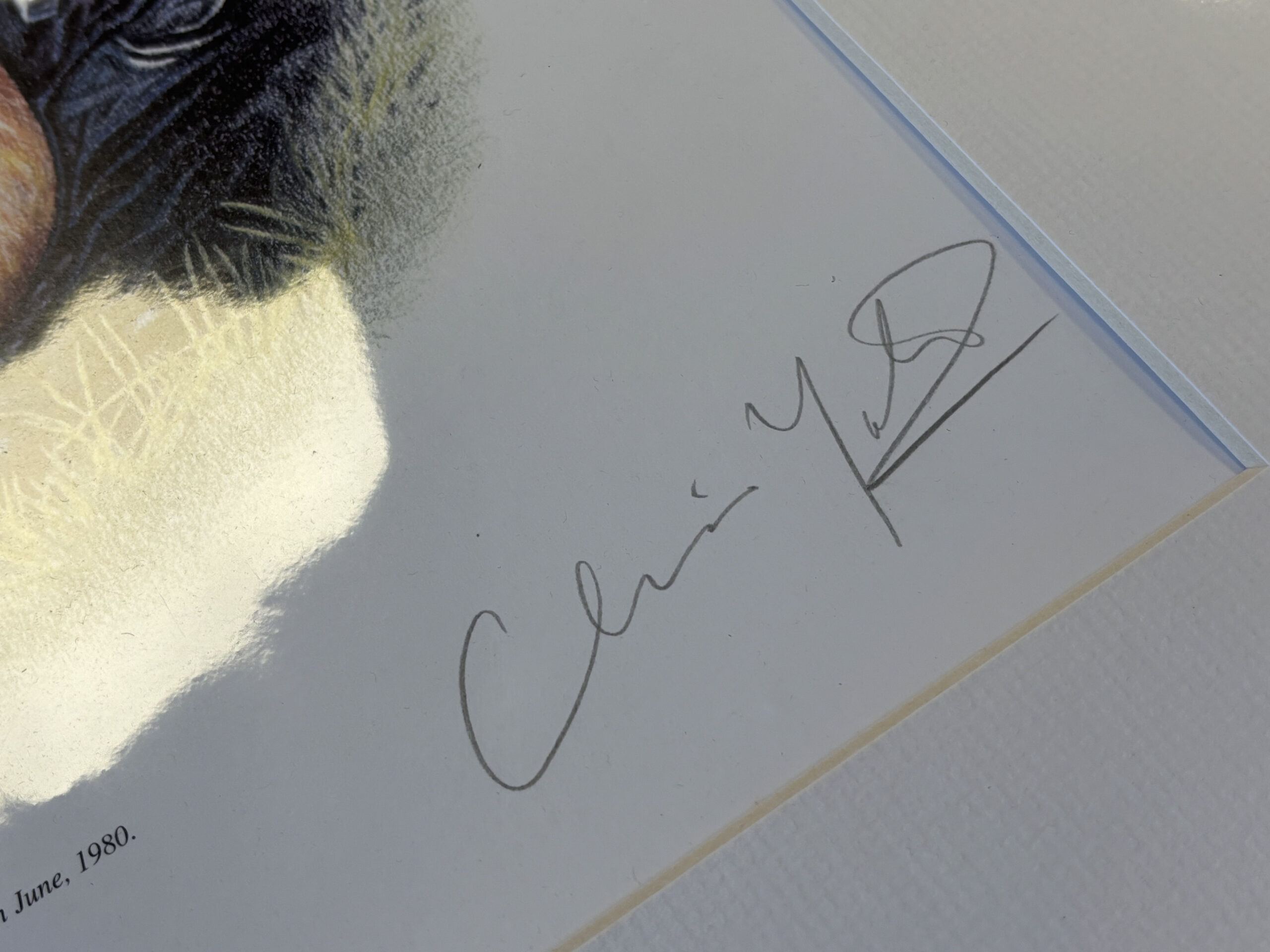 Claire Yates Limited Edition Print 203/250 – Richard Walker & His 44 lb Common Carp