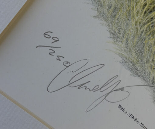Claire Yates Limited Edition Print 203/250 – Richard Walker & His 44 lb Common Carp