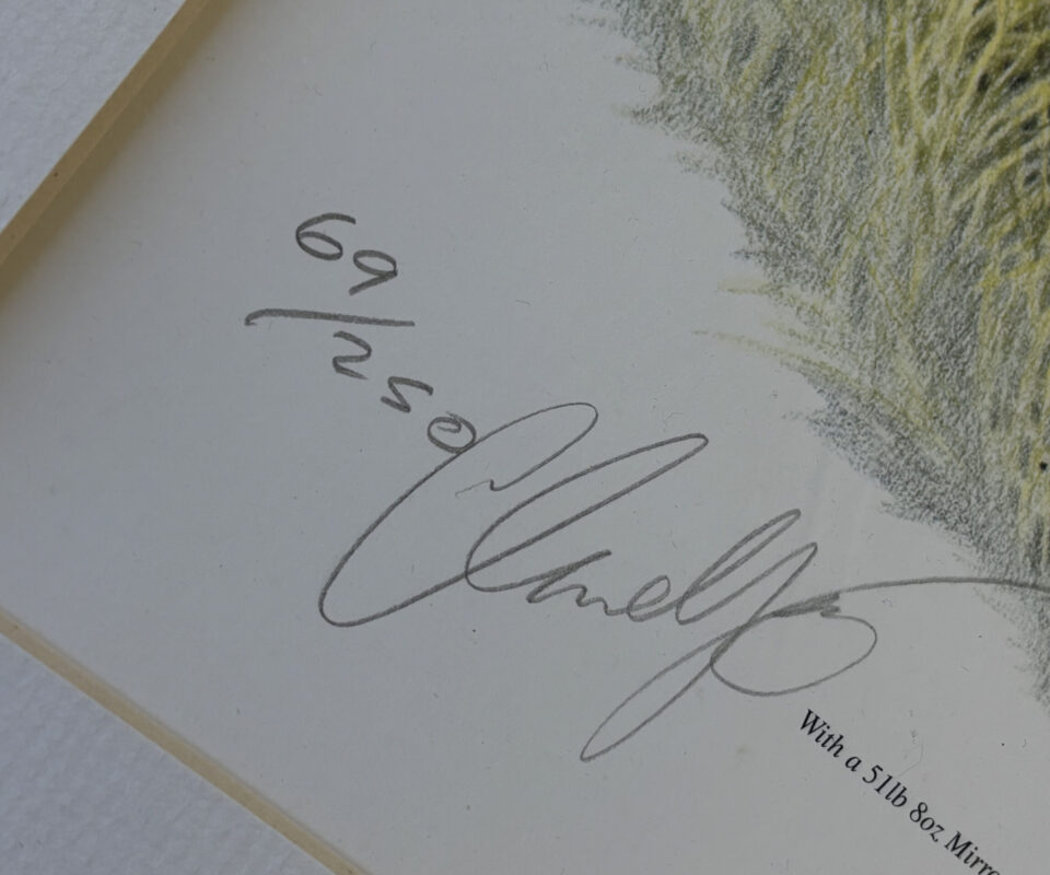 Claire Yates Limited Edition Print 203/250 – Richard Walker & His 44 lb Common Carp