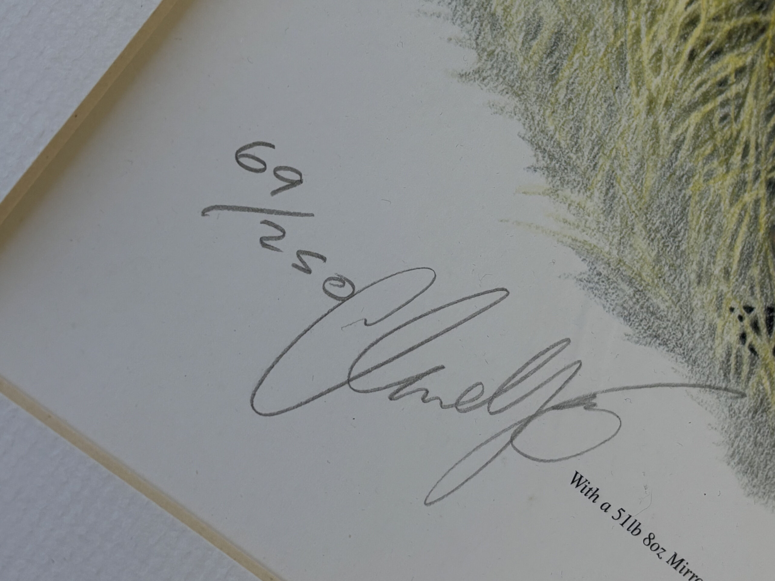 Claire Yates Limited Edition Print 203/250 – Richard Walker & His 44 lb Common Carp