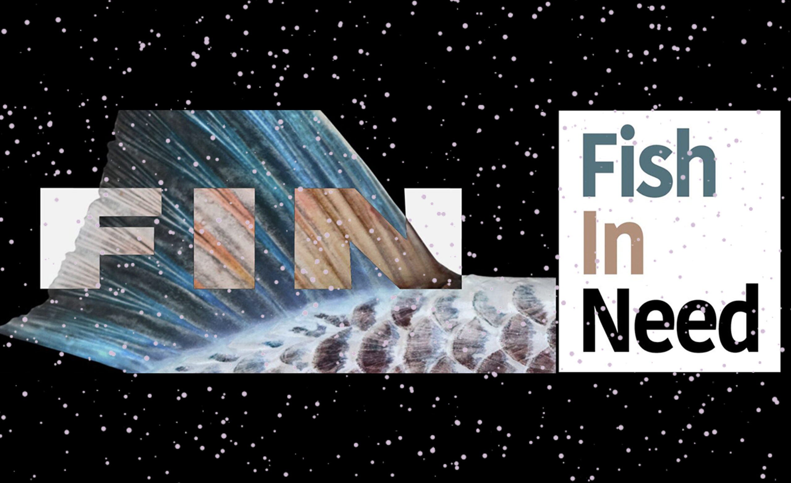 Support Fish in Need (FIN) This Christmas - Thomas Turner Fishing