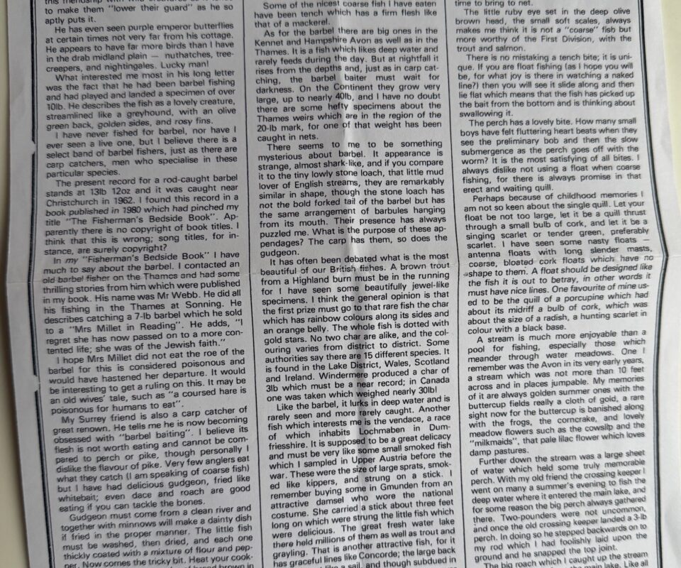 Alternative view of Original Artwork of a Barbel by Denys Watkins Pitchford for Shooting Times Article