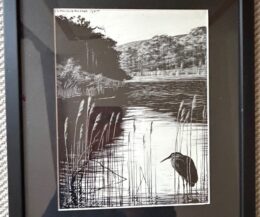 Alternative view of "BB" DENYS WATKINS-PITCHFORD.  Scraperboard From The Birds of the Lonely Lake 1961 Framed