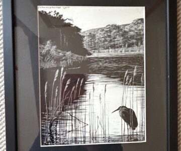 Alternative view of "BB" DENYS WATKINS-PITCHFORD.  Scraperboard From The Birds of the Lonely Lake 1961 Framed