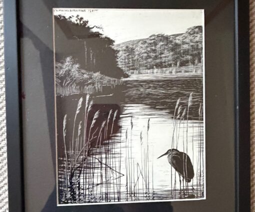 Alternative view of "BB" DENYS WATKINS-PITCHFORD.  Scraperboard From The Birds of the Lonely Lake 1961 Framed