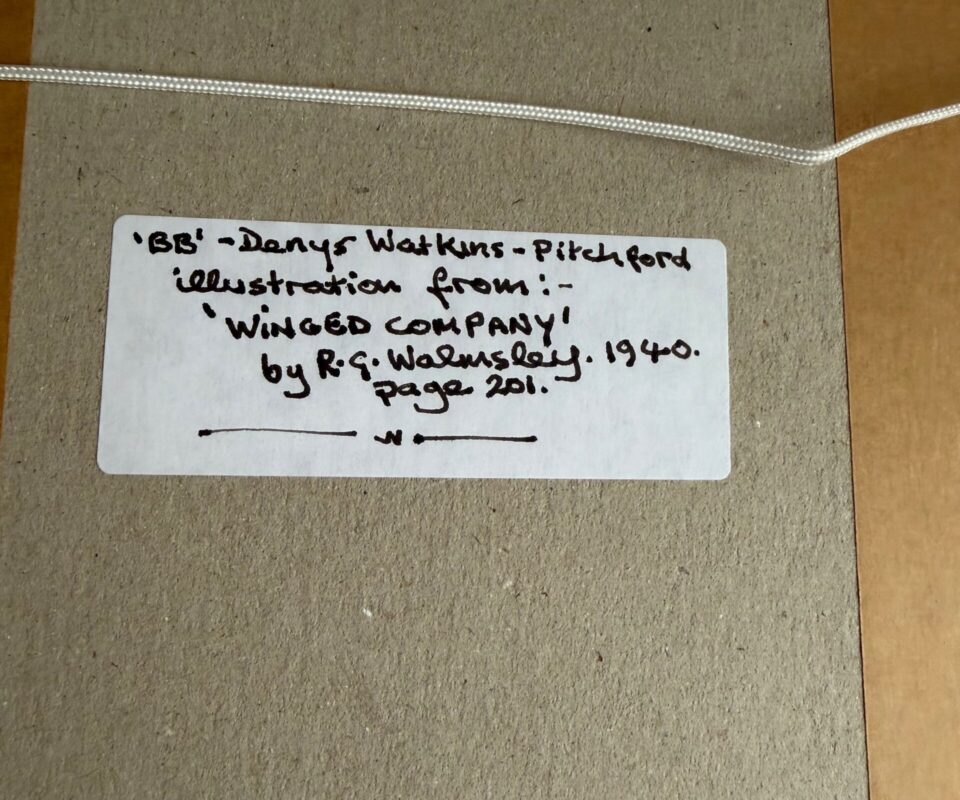 Alternative view of "Peregrine stooping at rock pigeons" By Denys Watkins Pitchford "B B"