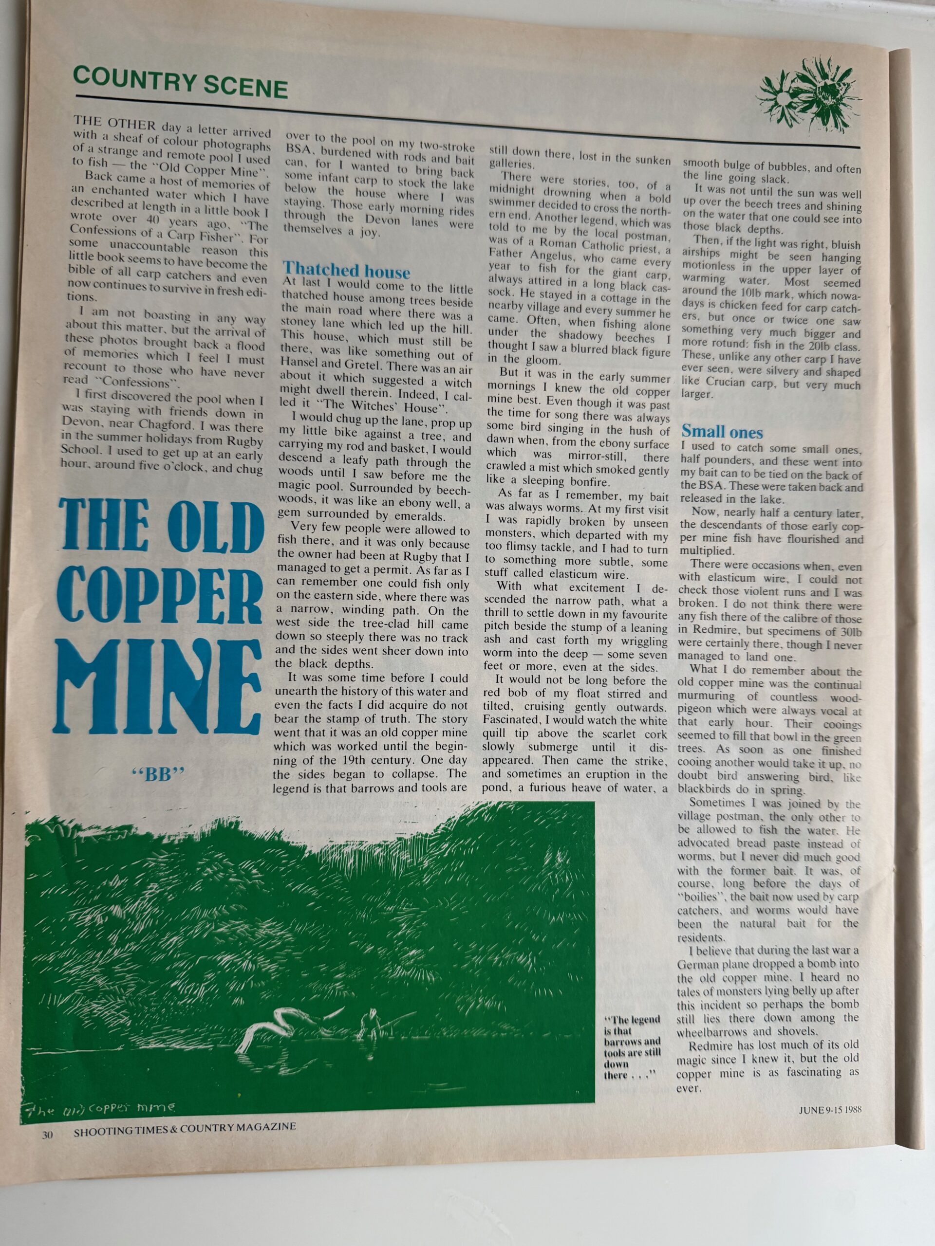 Original Signed Scraperboard by Denys Watkins Pitchford "The Old Copper Mine" - Image 4