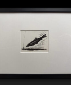 Original Artwork of a Barbel by Denys Watkins Pitchford for Shooting Times Article