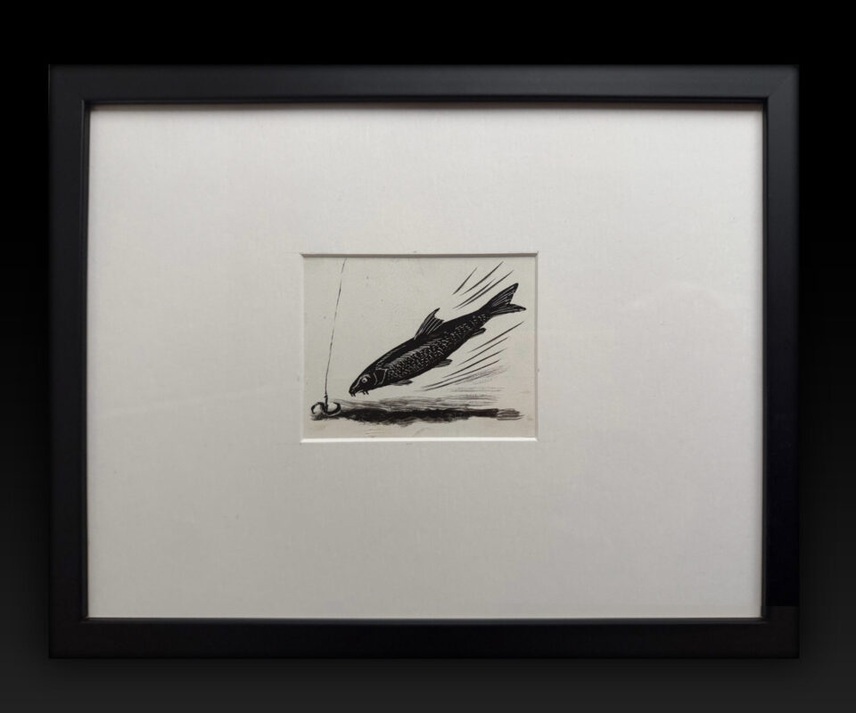 Original Artwork of a Barbel by Denys Watkins Pitchford for Shooting Times Article