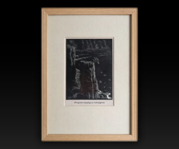 "Peregrine stooping at rock pigeons" By Denys Watkins Pitchford "B B"