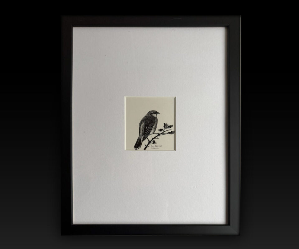 Red Backed Shrike and its Larder by Denys Watkins Pitchford. 'BB'.