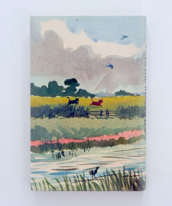 Alternative view of Bill Badger’s Voyage to the World’s End – BB