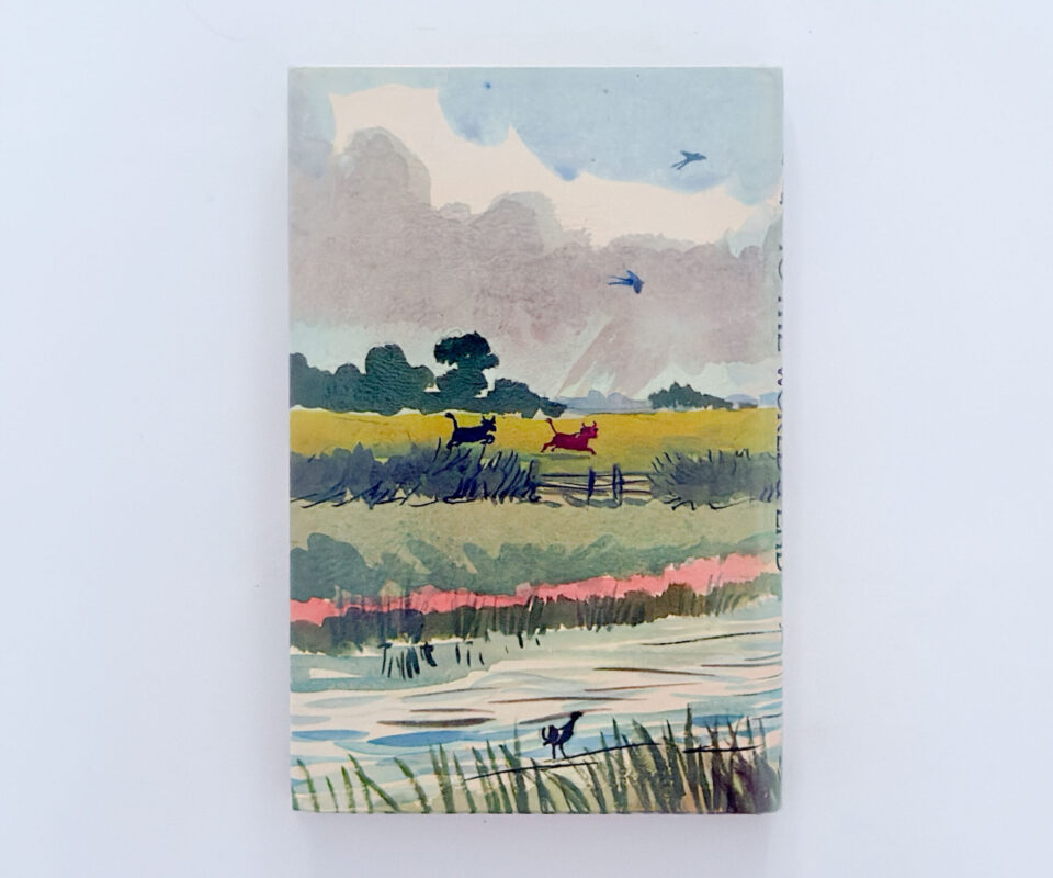 Alternative view of Bill Badger’s Voyage to the World’s End – BB