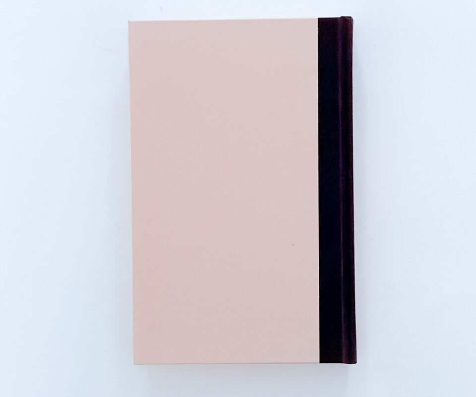 Alternative view of Diary and Sketchbook (1922) – Edited by Bryan Holden