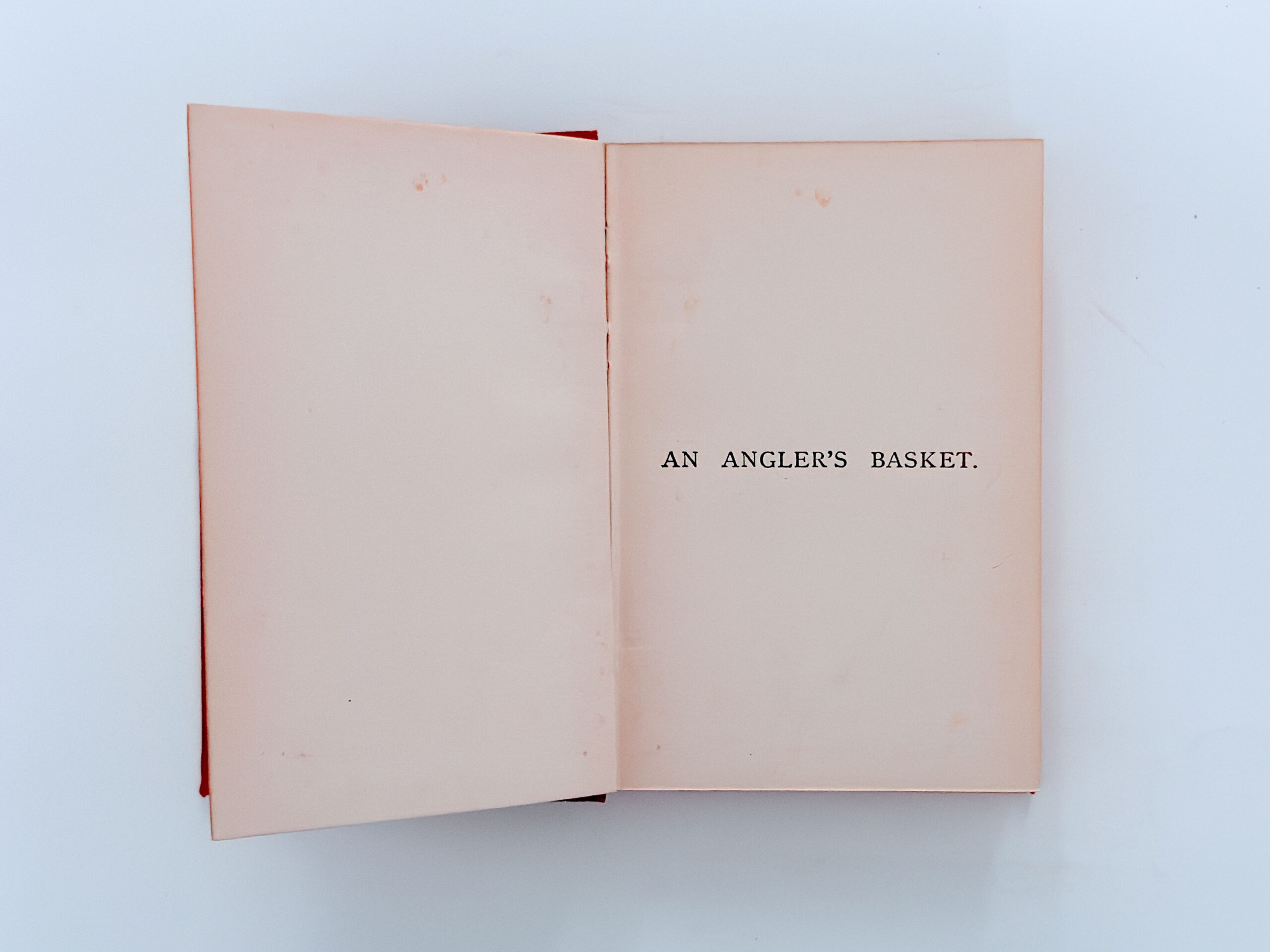 An Angler’s Basket – T. E. Pritt - Image 3