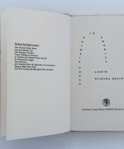 Alternative view of Trout Fishing in America – Richard Brautigan