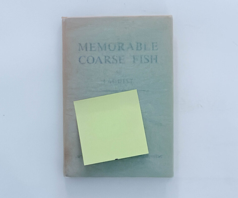 Memorable Coarse Fish – Faddist
