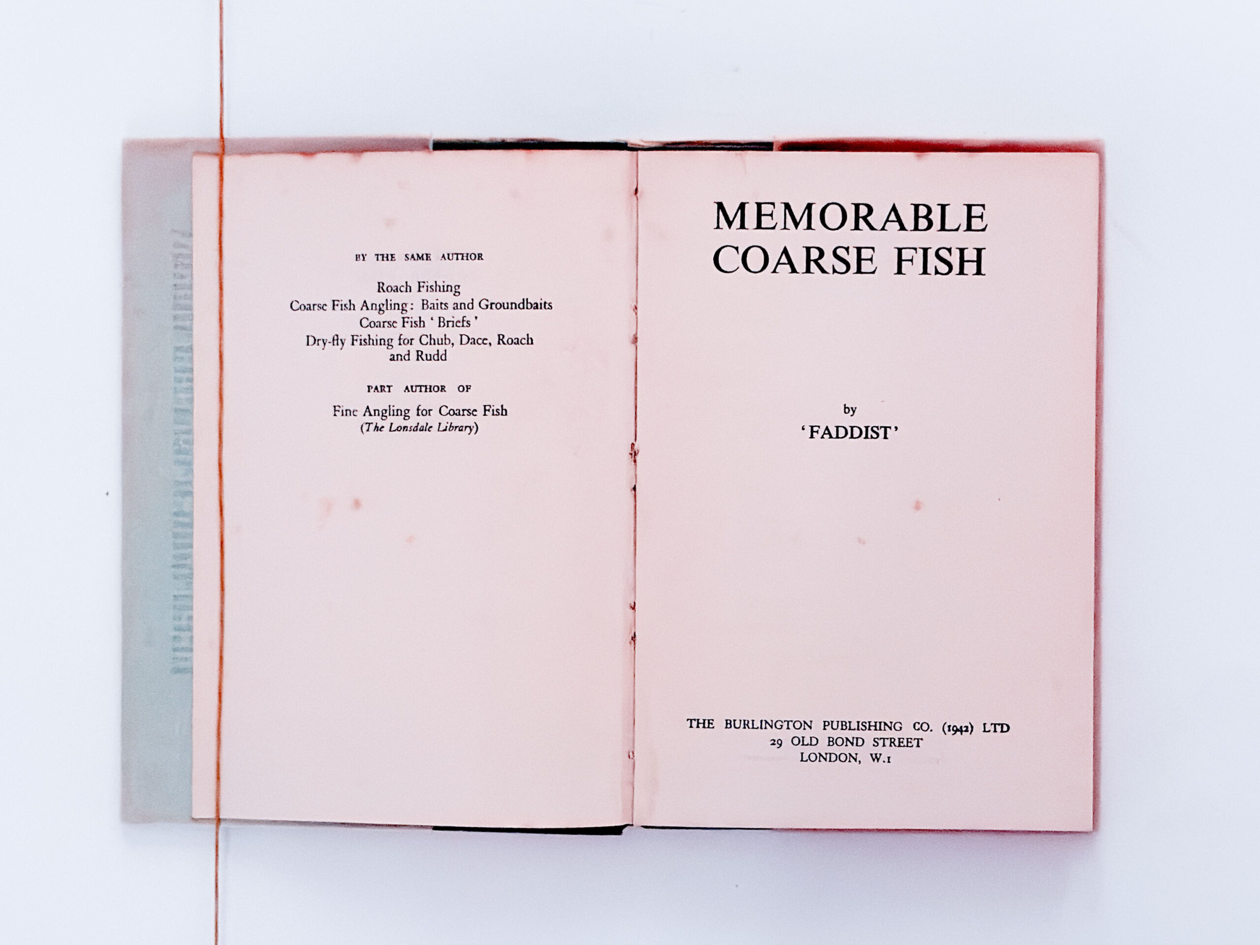 Memorable Coarse Fish – Faddist - Image 3