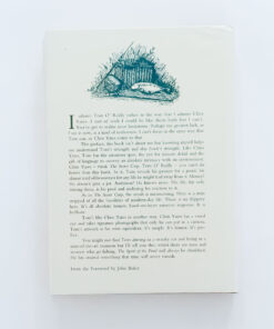 Alternative view of The Spirit of the Pond – Tom O’Reilly – Signed
