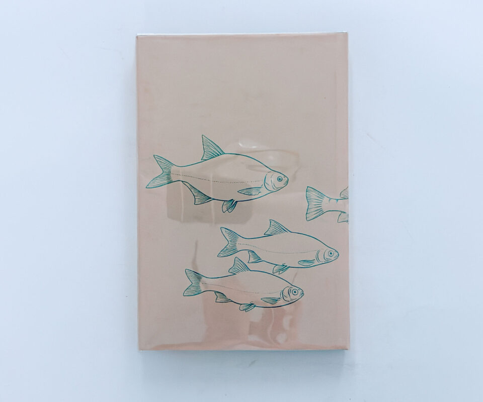 Alternative view of The Fisherman’s Book – A. F. Sismore