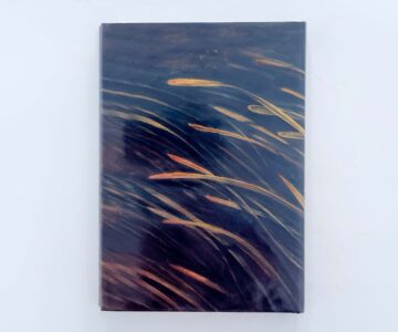 Alternative view of Dace: The Prince of the Stream – Dr Mark Everard