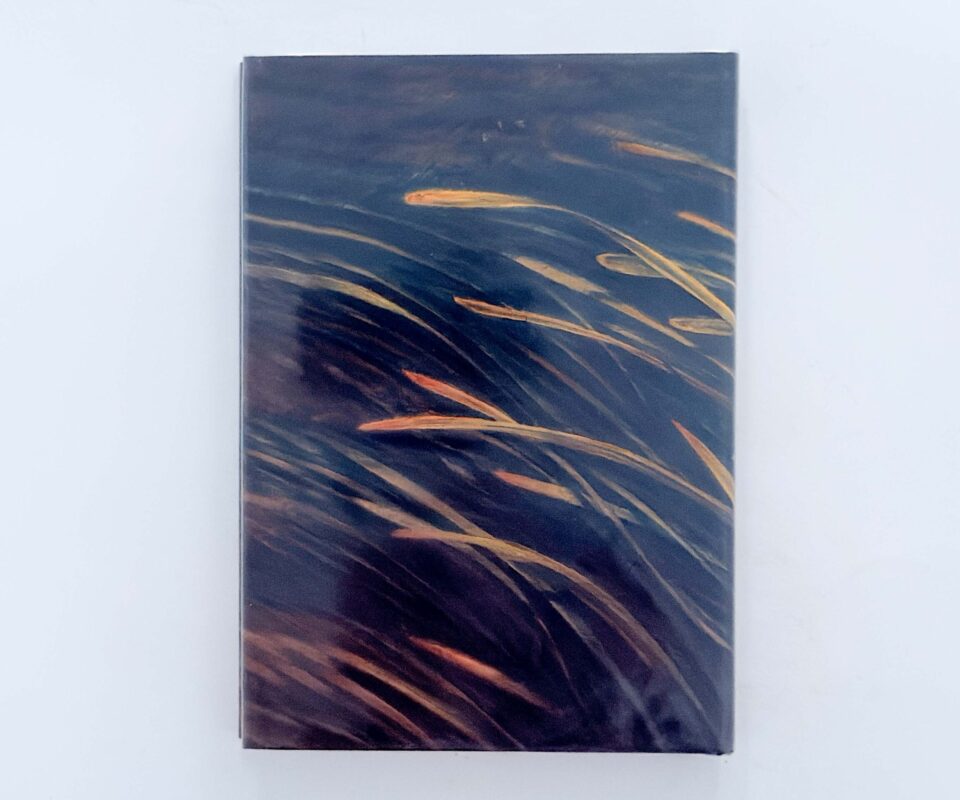 Alternative view of Dace: The Prince of the Stream – Dr Mark Everard