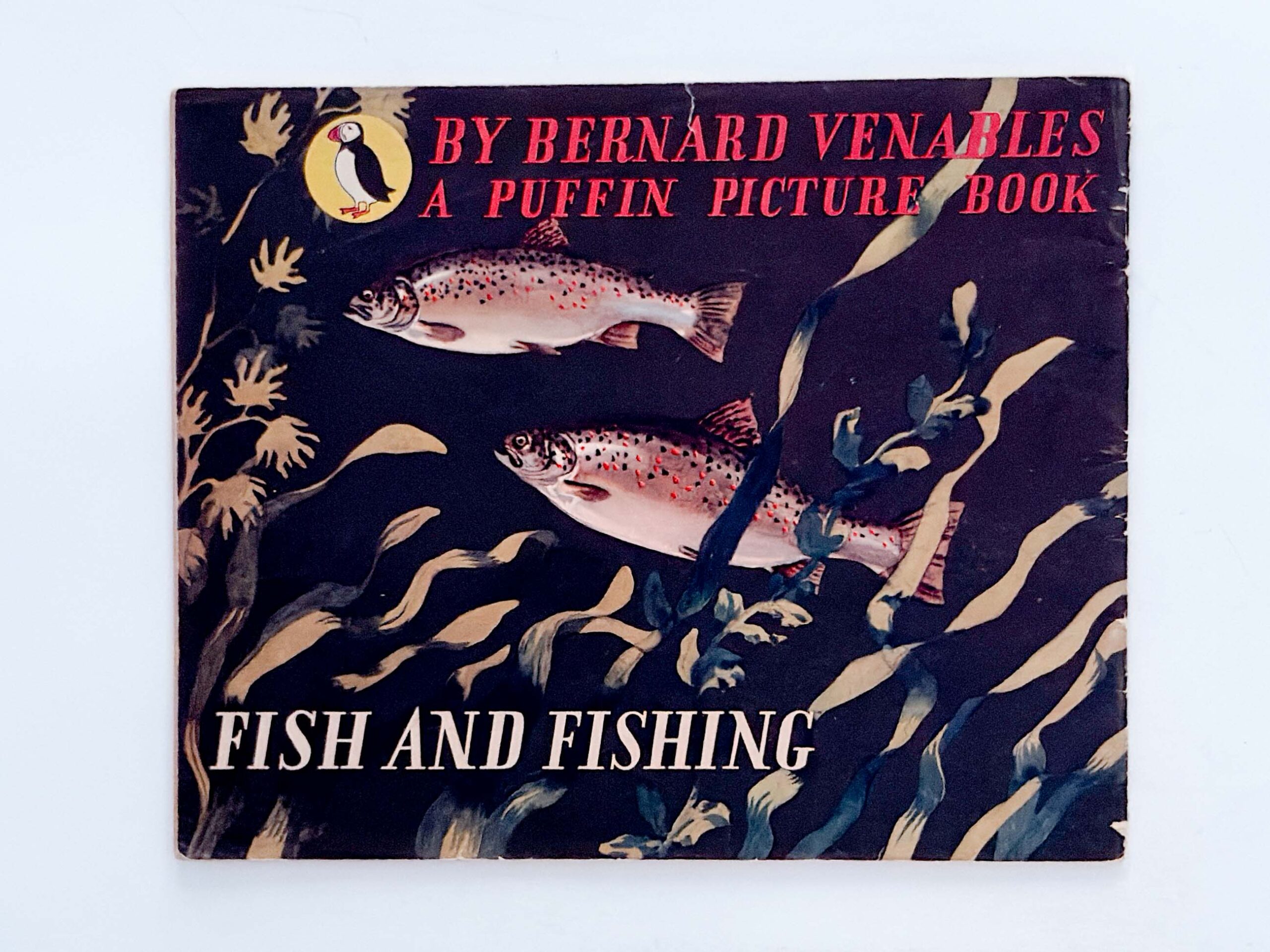 Fish and Fishing – Bernard Venables - Image 2