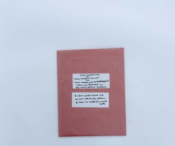 Alternative view of Monty Woodpig Colour Illustrations &ndash; BB