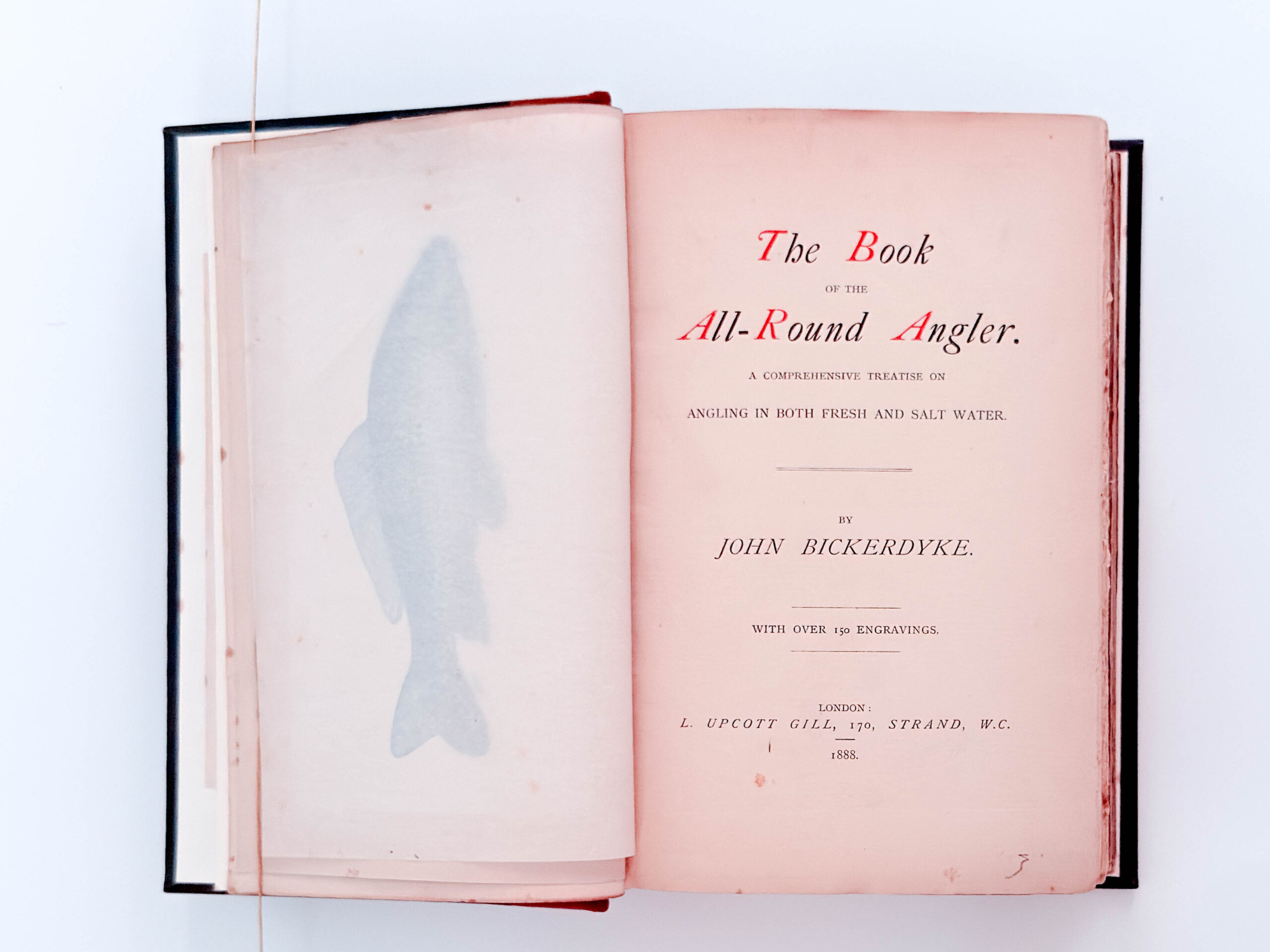 The Book Of The All Round Angler. A Comprehensive Treatise On Angling In Both Fresh And Salt Water – John Bickerdyke - Image 8