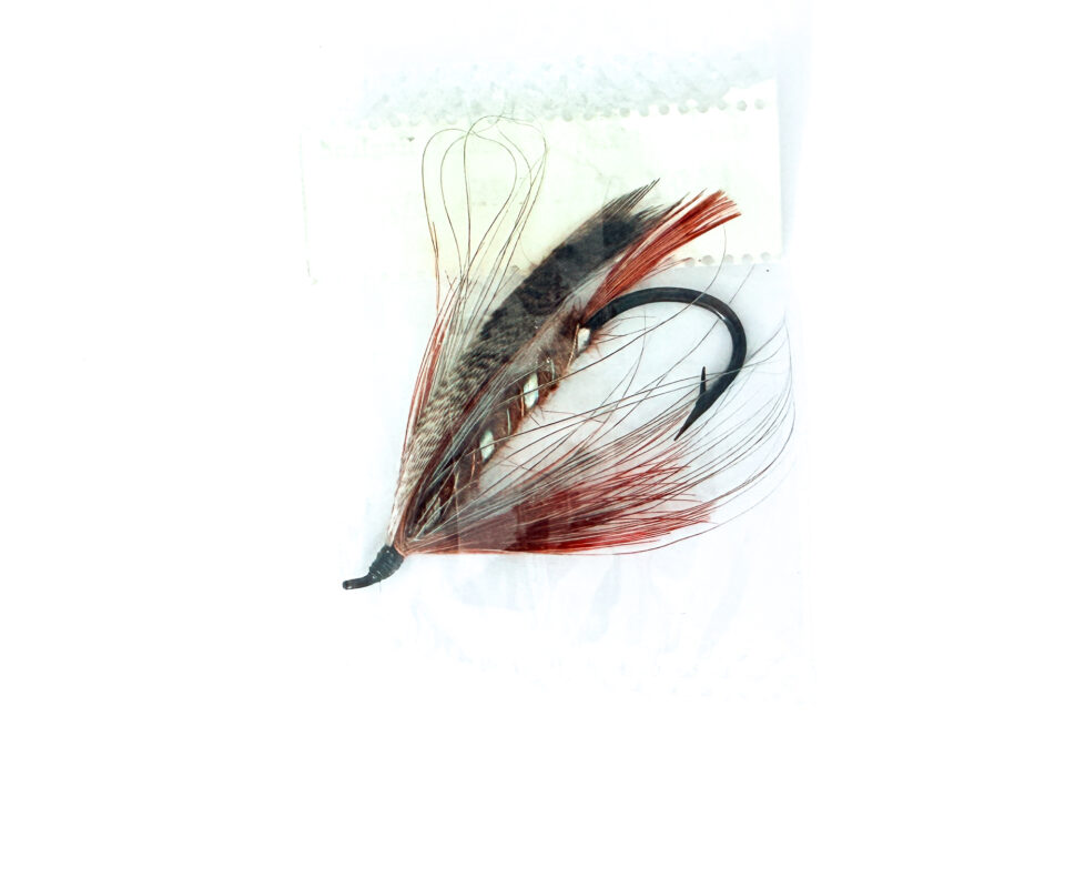 Alternative view of Hardy of Alnwick, Lady Caroline, Fully Dressed Salmon Fly 2/0 (Unused, In Original Sealed Packet, c.1960s)