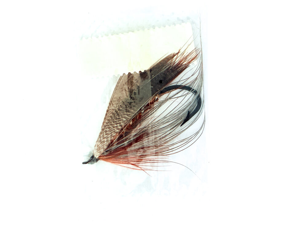 Alternative view of Hardy of Alnwick, Lady Caroline, Fully Dressed Salmon Fly 2/0 (Unused, In Original Sealed Packet, c.1960s)