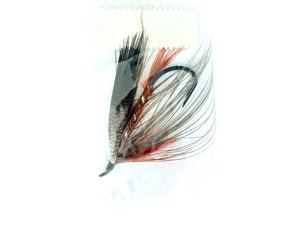 Alternative view of Hardy of Alnwick, Lady Caroline, Fully Dressed Salmon Fly 3/0 (Unused, In Original Sealed Packet, c.1960s)