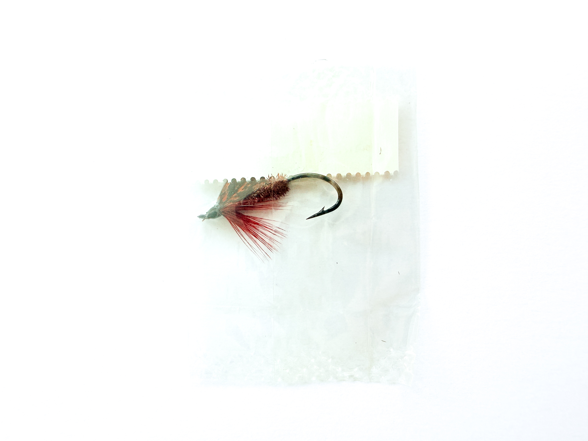 Hardy of Alnwick, Claret Alder (LW), Fully Dressed Salmon Fly 6 (Unused, In Original Sealed Packet, c.1960s) - Image 2