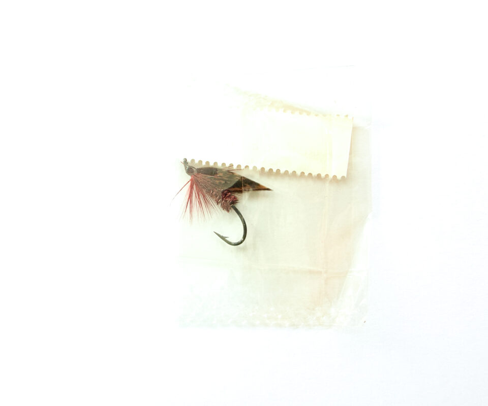 Alternative view of Hardy of Alnwick, Claret Alder (LW), Fully Dressed Salmon Fly 8 (Unused, In Original Sealed Packet, c.1960s)