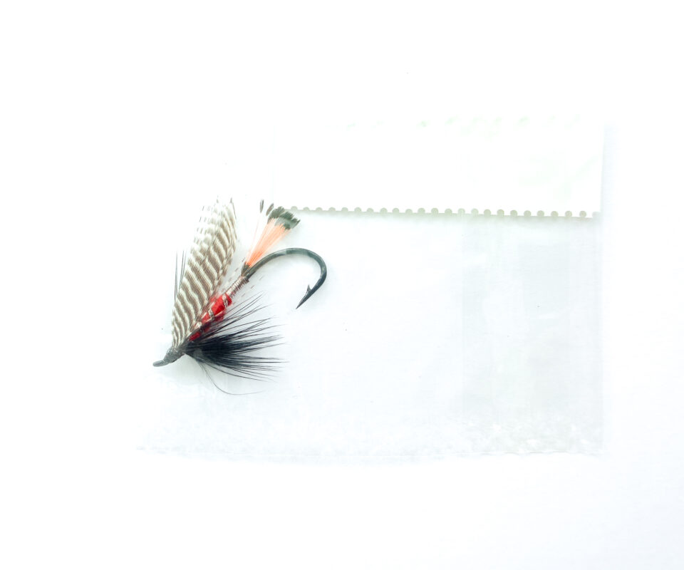 Alternative view of Hardy of Alnwick, Peter Ross (LW), Fully Dressed Salmon Fly 6 (Unused, In Original Sealed Packet, c.1960s)