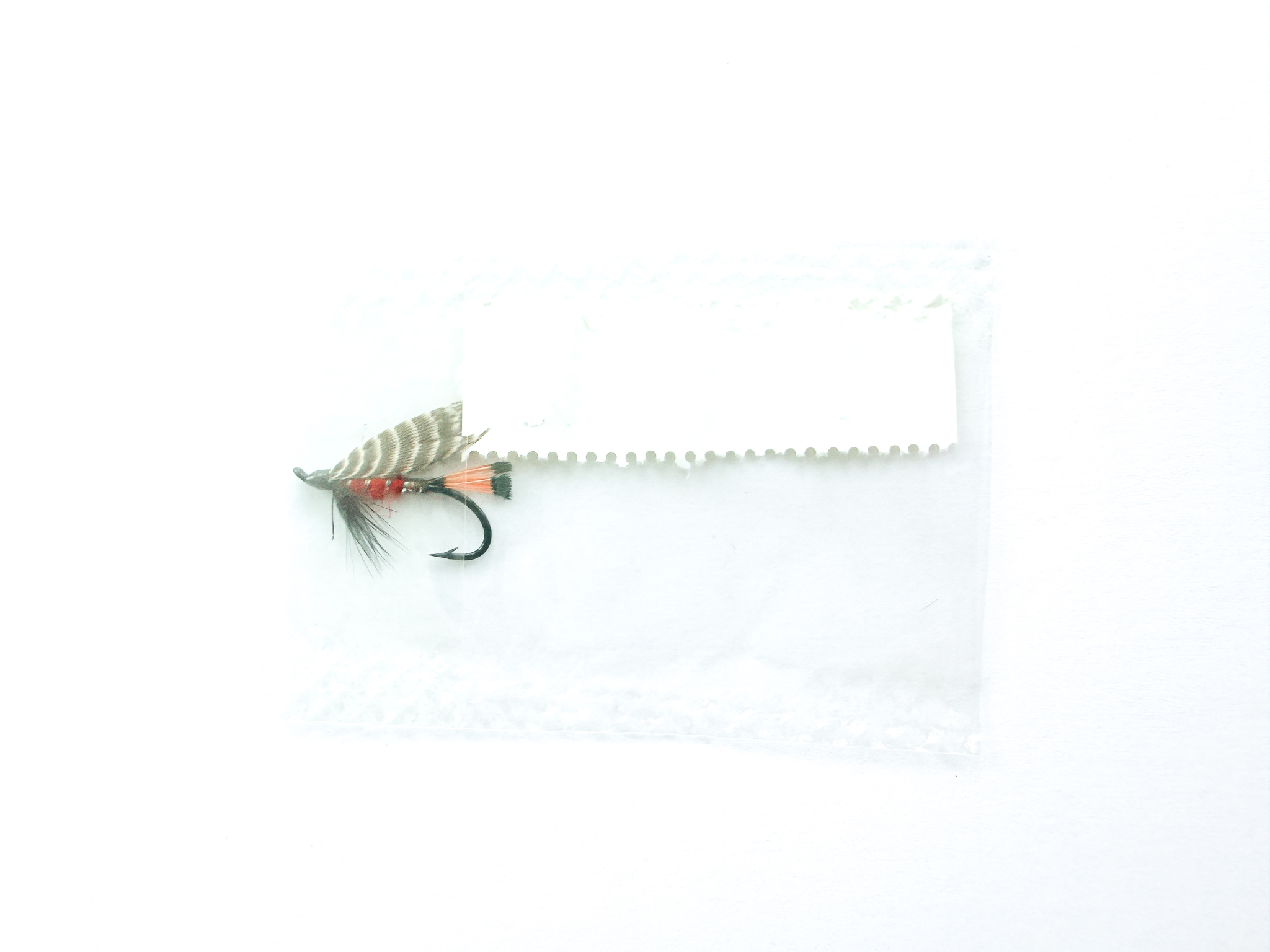 Hardy of Alnwick, Peter Ross (LW), Fully Dressed Salmon Fly 10 (Unused, In Original Sealed Packet, c.1960s) - Image 2