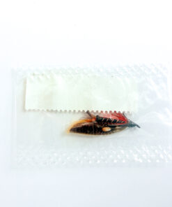 Alternative view of Hardy of Alnwick Thunder & Lightning Fully Dressed Salmon Fly 6 (Unused, In Original Sealed Packet, c.1960s)