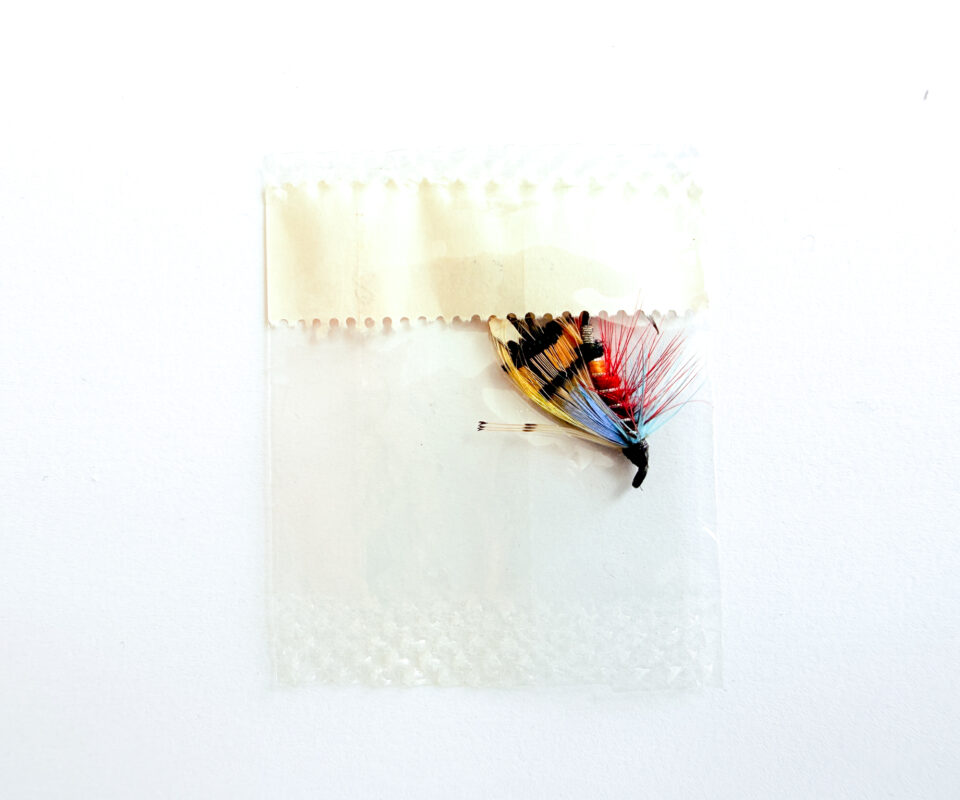 Alternative view of Hardy of Alnwick Durham Ranger Fully Dressed Salmon Fly 8 (Unused, In Original Sealed Packet, c.1960s)